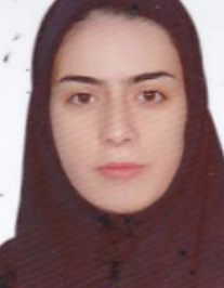 ارزو حیدری برگیش