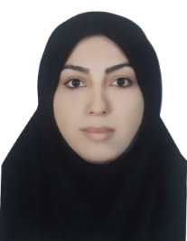 نسیبه فضلی
