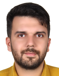 سید احسان افضلی
