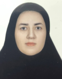نیر ارسلانی