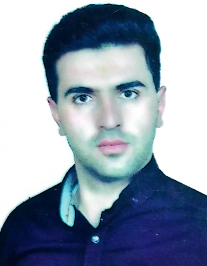 پویا محمدی