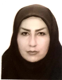 زهرا دلجویی سرکش