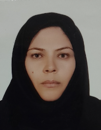 مریم سلیمانی