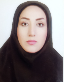 ندا زادمیر