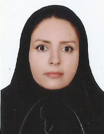 مریم افشاری حمید