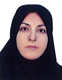 صدیقه اکبرنژادجزک