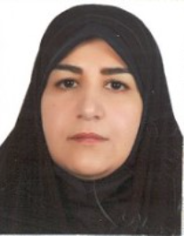 نوشین میرزایی
