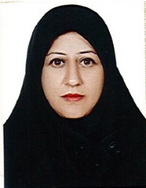 خدیجه حقگوی تکرمی