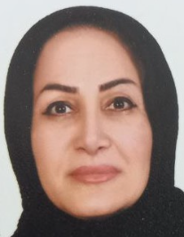 انیسه سلطانی