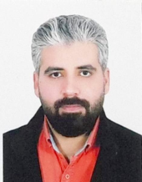 مجتبی وزیری
