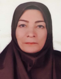 ناهید خان احمدی