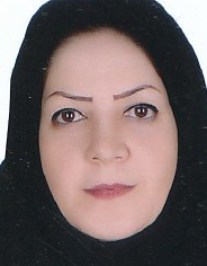 هاجر رزمی