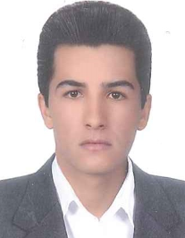 سعید حبیبی