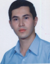 محمد مهدی میرلو