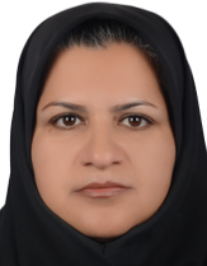 منیره مهدیزاده