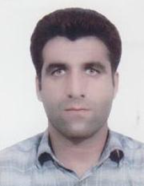 حسین سلطانی گردفرامرزی
