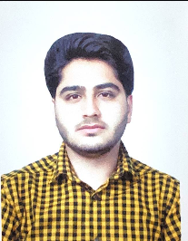 امیر حسین‌پور فیلشور