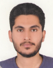 امیر حسن زاده