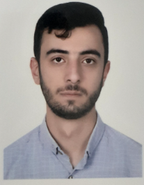 میلاد ضامنی