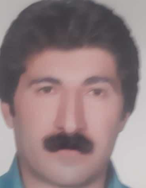 سیاوش کرمی قلعه زنجیری