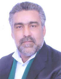 سید داود حسینی تنها