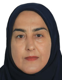مینا بیرانوند