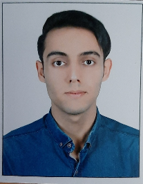محمدرضا بیرانوندی