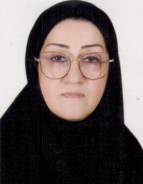 مریم سادات میری دوزینی