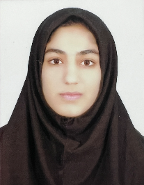 نگین رنجبربافقی