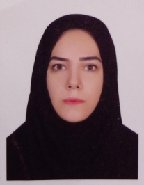مدینه سادات موسوی