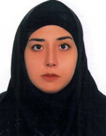 شقایق نوری