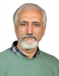 حسین شاهی