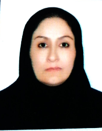 زهرا محمدزاده فیلی