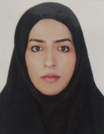افروز میر