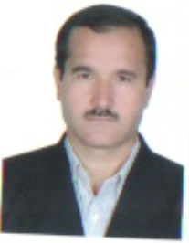 سید حسن احمدی گلیان
