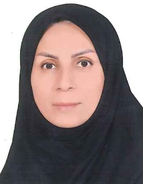 اقدس محمدی دیزیچه