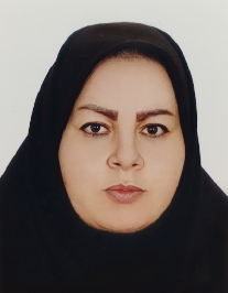 مینا ولی پور