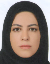 مریم السادات حسینی