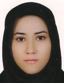 عاطفه رحیم سلمانی