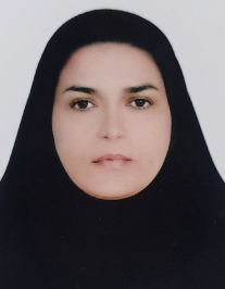 هانیه بریزی