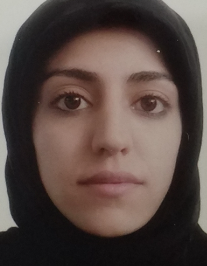 پریسا سنایی