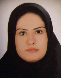 مینا نایبی