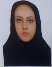 زهرا سلیمانی