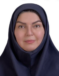 مینا بروجردی