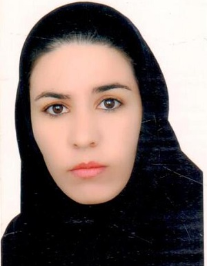 مریم کرم‌ زاده ارخلو