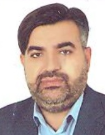هادی حسنی