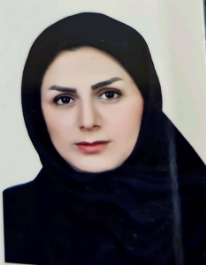 شهین شهرکی