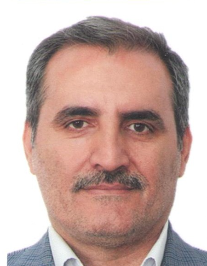 سیدعلاءالدین علائی فرد