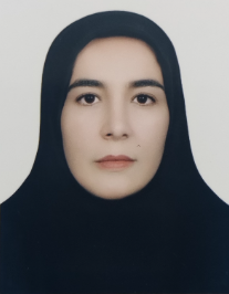 سیده زینب رضائی ناصر آباد