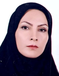 فرانک سلیمانی